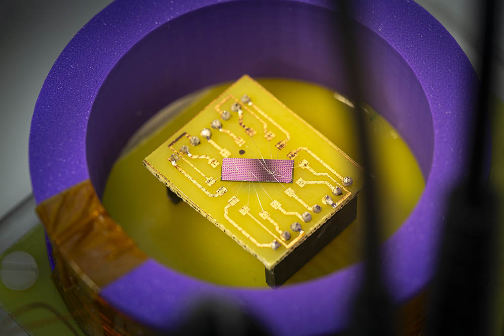 Échantillon contenant plusieurs capteurs à skyrmions ultrasensibles.