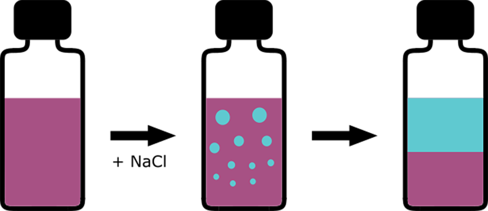 Schéma de la séparation de phase par ajout de NaCl au mélange eau + liquide ionique