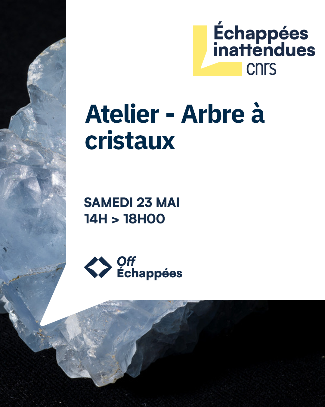 Affiche de l'atelier Arbres à cristaux dans le cadre de Musées en fête le samedi 23 mai 2026 de 15h à 18h