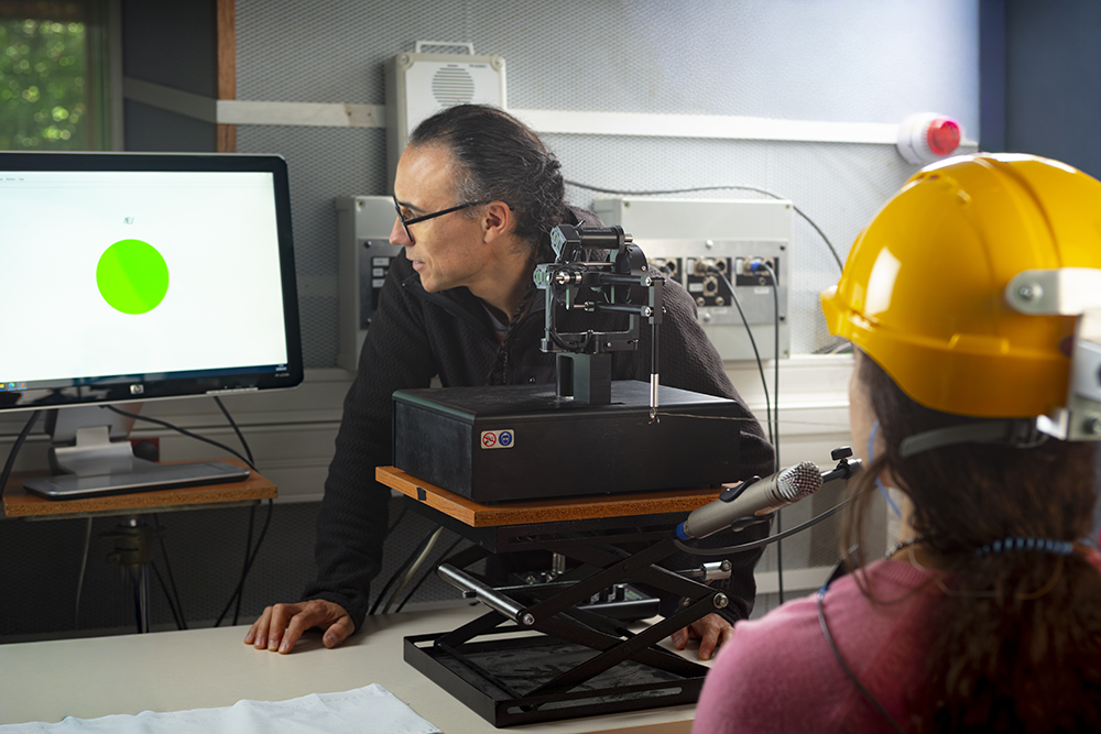 Visualisation des consignes pour le sujet lors d'une expérience étudiant la production de la parole