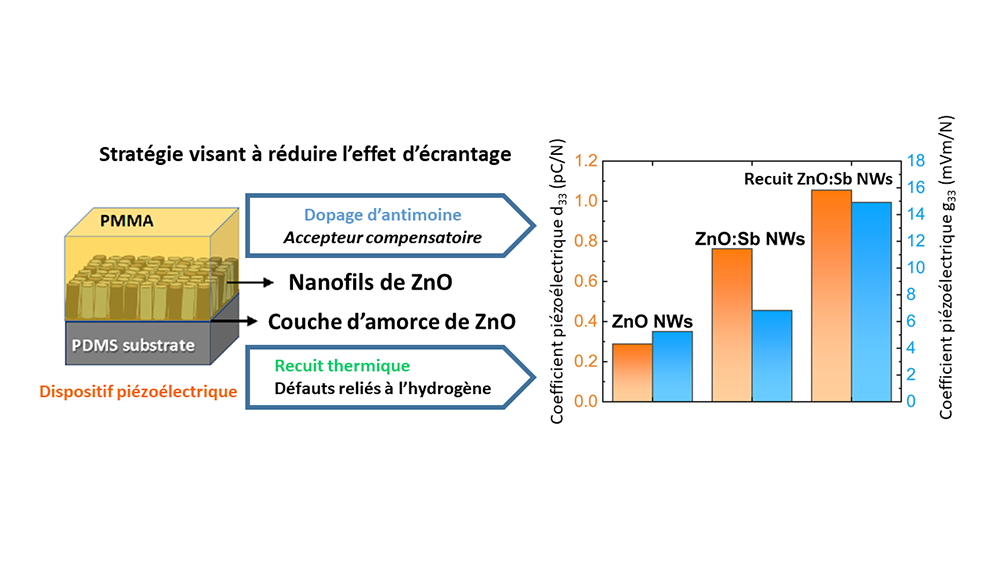  Architecture du dispositif piézoélectrique à base de nanofils d'oxyde de zinc (à gauche) et évolution des coefficients piézoélectrique en fonction du dopage d'antimoine et du recuit thermique